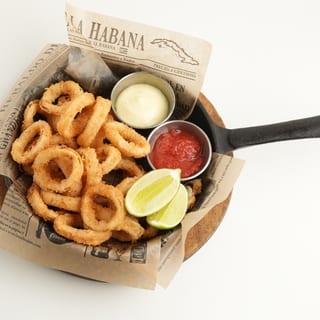 Fried Calamari