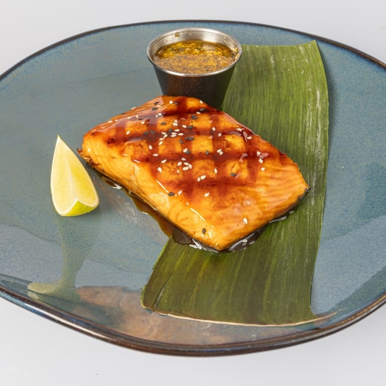 Delicious Salmon Dishes